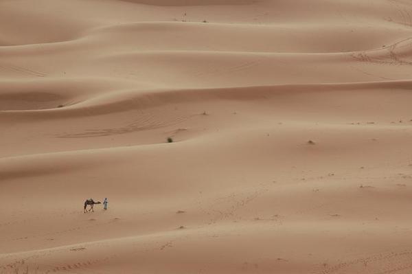 Sahara's Vastness