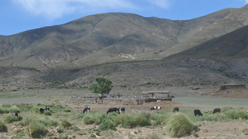 Enkelt gårdsbruk mellom Salta og San Antonio de los Cobres