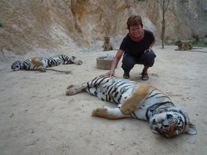 Kari og tigerne