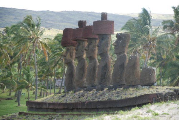 Moaier med hatt/hår (ekspertene er ikke enige om hva det er) i en palmelund på ei nydelig sandstrand