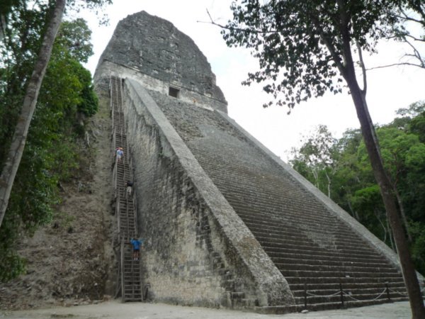 Mayaruinene i Tikal (#6). Tempel nr. V. Kari på vei opp tretrappa. Det var her høydeskrekken slo til for fullt, og det var bare én vei videre, nemlig opp!!