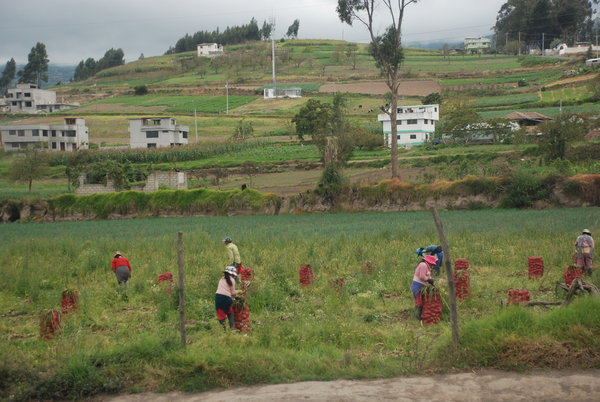 Landsbygda mellom Banos og Quito