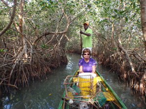 På mangrove- og fisketur i uthulet trestokk
