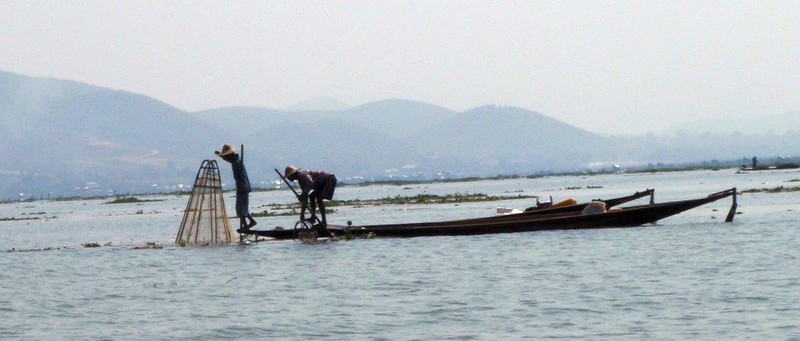 Fiske med store bambuskurver med nett på Inle Lake