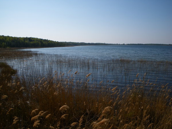 Chasse aux oiseaux sur les bords du lac de Muritz