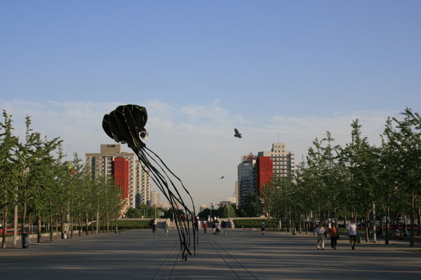 Cerfs-volants sur l'esplanade olympique
