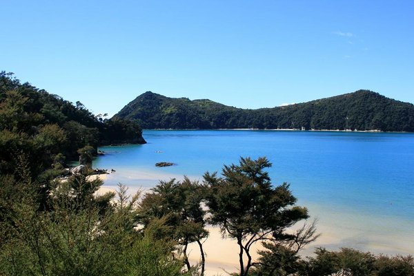 Les petites baies aux eaux claires du parc national Abel Tasman