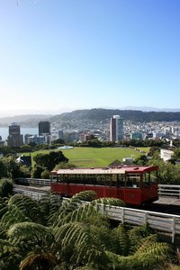 Wellington City, vue depuis le jardin botanique