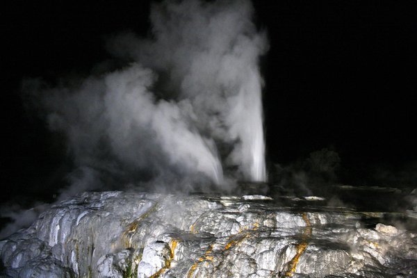 Rotorua - Le geyser Pohutu en action