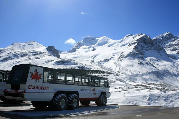 Le bus local aux Columbia Icefields