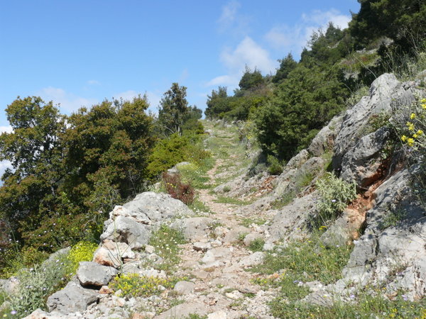 Path to the top of Mount Parnassos