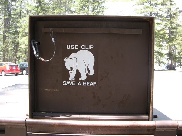 Save a Bear