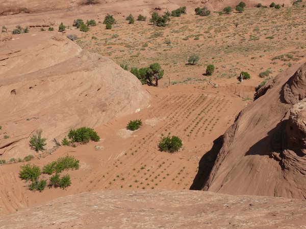 Navajo reservation
