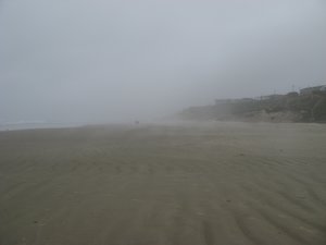 Mist on the beach