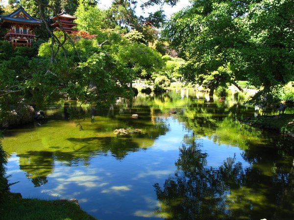 Japanese Garden
