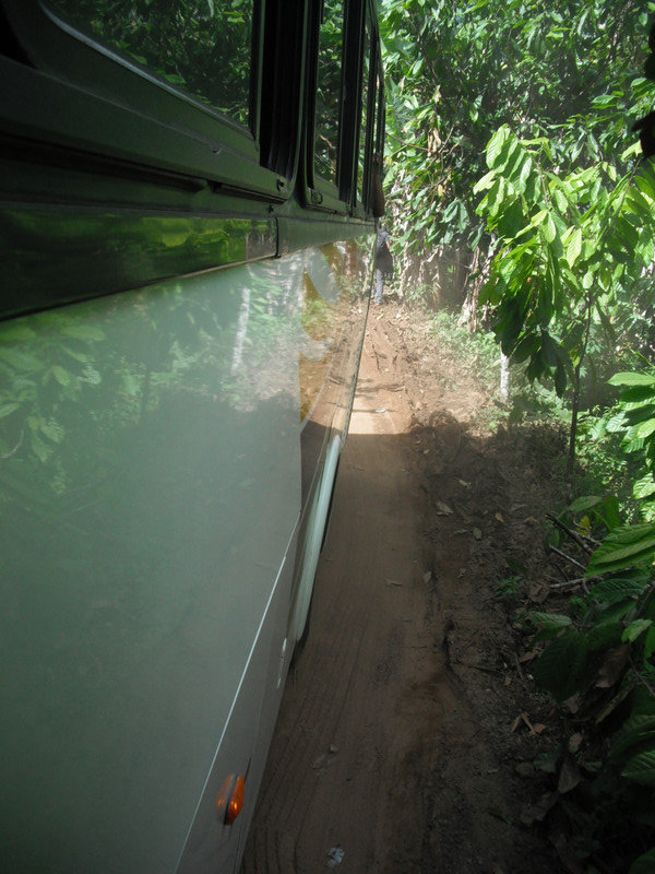 Our bus in the forest