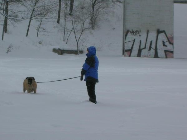Someone walking their dog in the snow