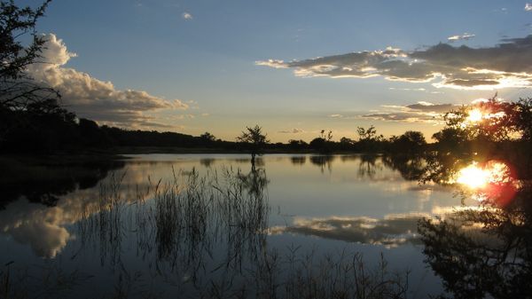 Okavango Sunrise