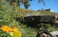 Flowers and tanks