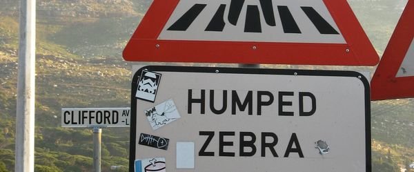 Project: Humped Zebra X