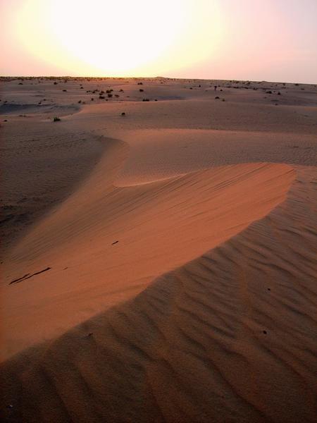 Purple dunes
