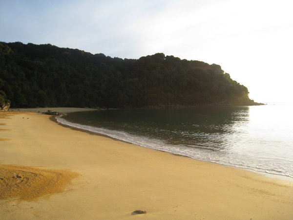 Te Pukatea Beach