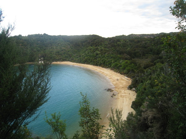 Te Pukatea Beach from the Coastal Path