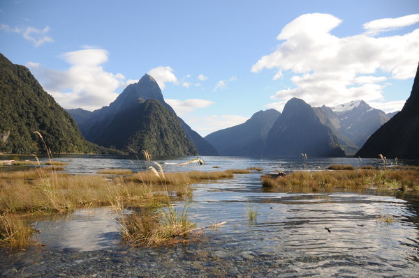 Milford Sound from the Shore