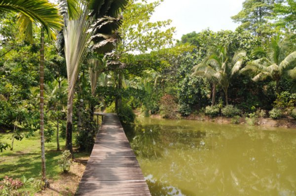 Sepilok Jungle Resort Walkway