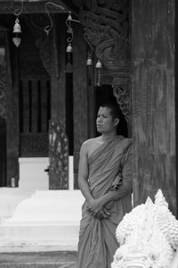 A Pensive Monk