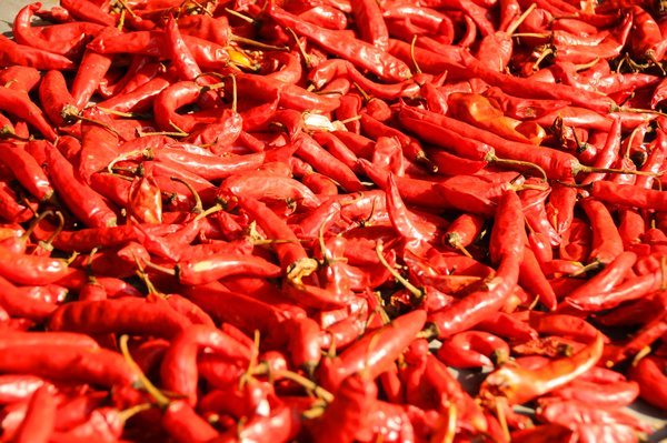 Chillies drying in the sun
