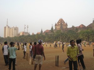 Cricket, Cricket, Cricket
