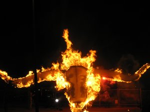 Bull on Fire