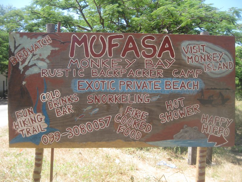 Mufasa- Monkey Bay, Malawi