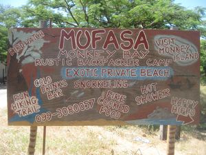 Mufasa- Monkey Bay, Malawi