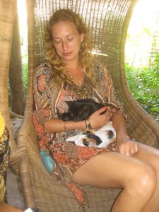 Stacy and her Babies- Monkey Bay