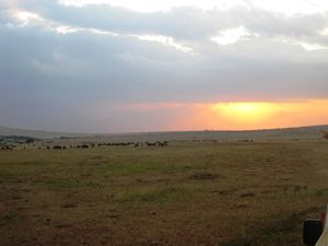 Amazing Animal Filled Sunset-Masai Mara, Kenya