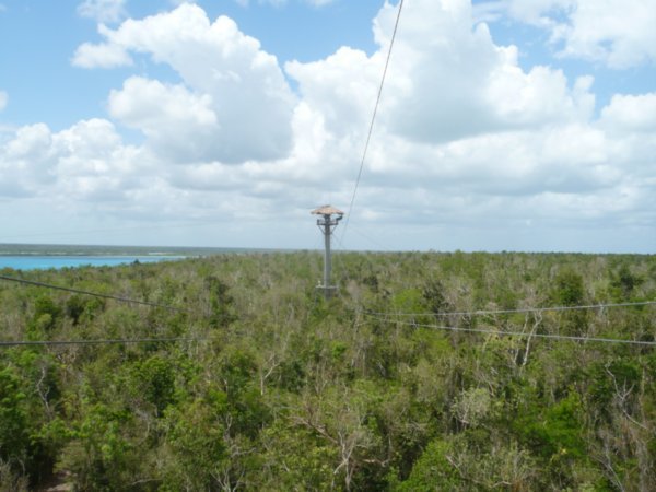 Tower over the Jungle