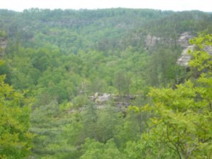 Red River Gorge KY