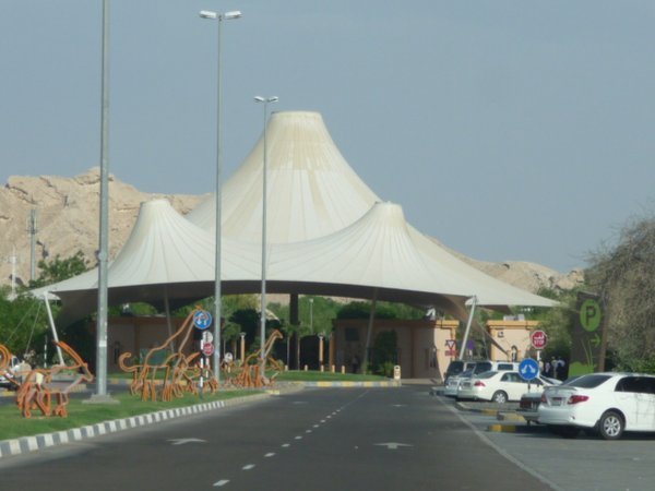 Al Ain 559