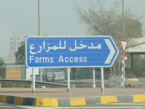 desert farms