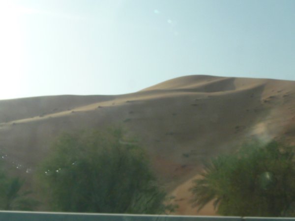 roadside dunes