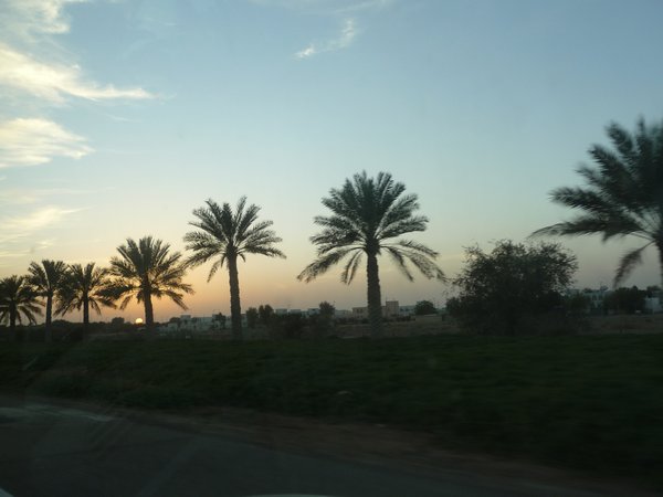 palm roadways
