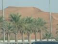 dunes/palms/desert drive