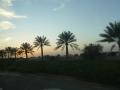 palm roadways