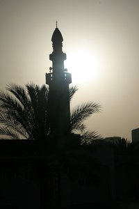 mosque & palm
