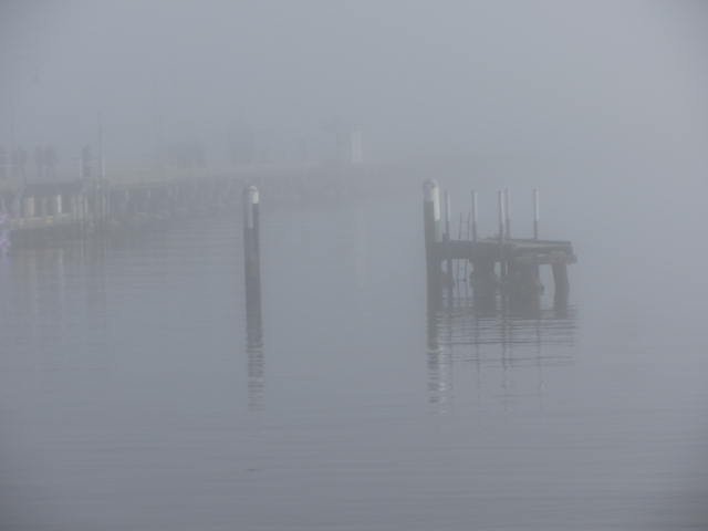 St Kilda beach fog