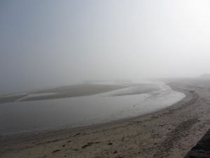 St Kilda beach fog