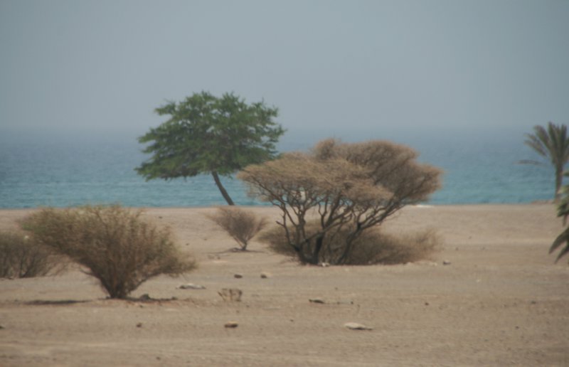 the desert meets the Arabian sea & Indian Ocean