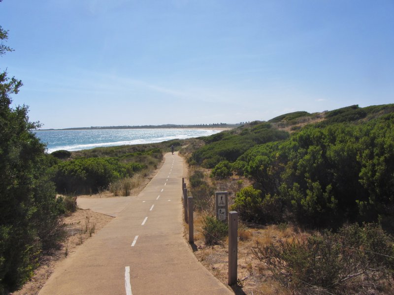 beach path from Hopkins river to the breakwatero 